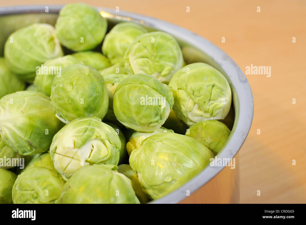 Le chou de Bruxelles (Brassica oleracea var. gemmifera), dans une casserole Banque D'Images