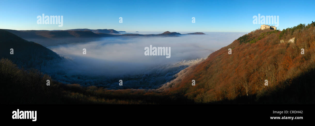 Burg Château Hohenneuffen au-dessus d'une vallée remplie de brouillard, Jura souabe, Bade-Wurtemberg, Allemagne, Europe Banque D'Images