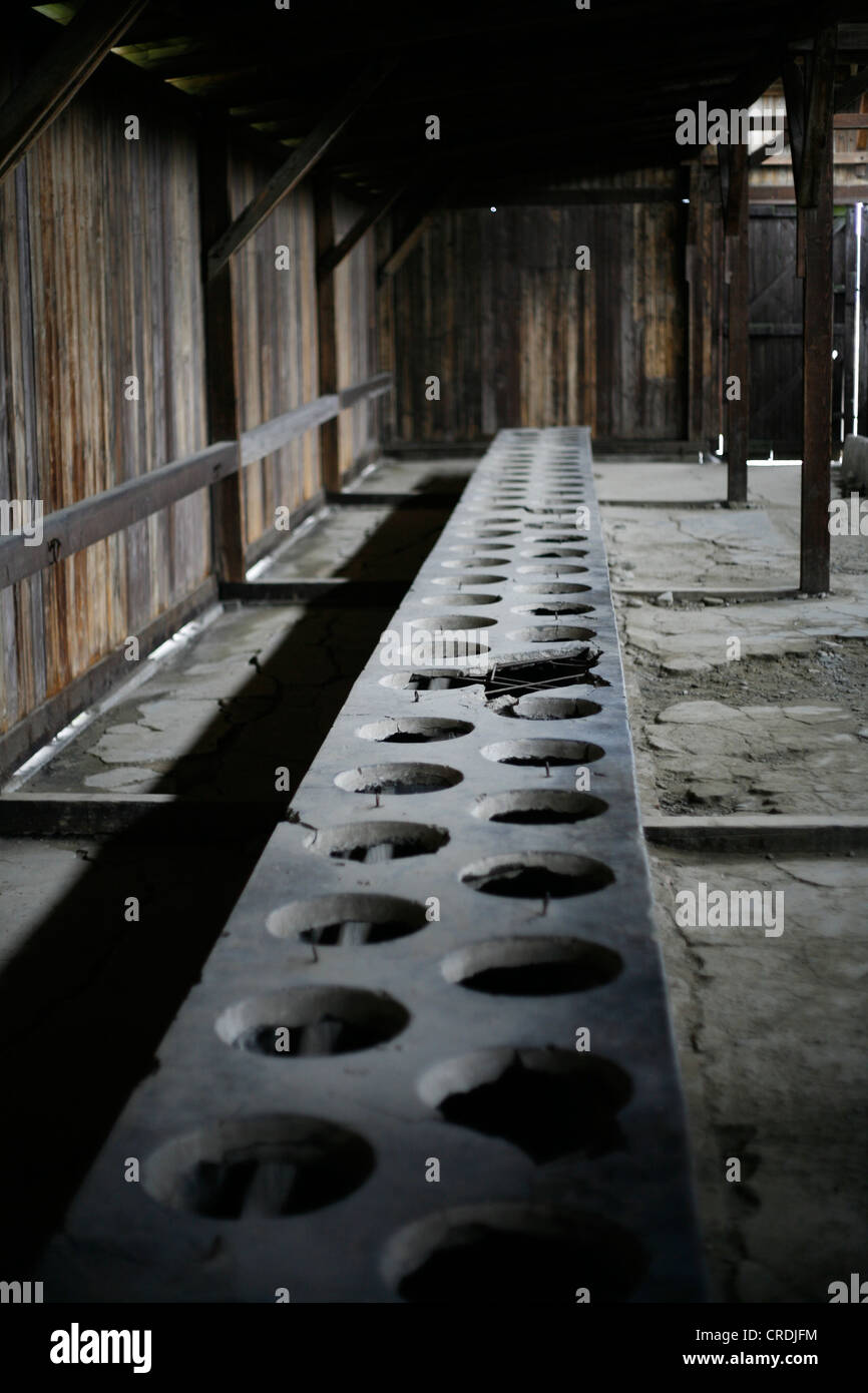 Salle de toilettes, dans le camp de concentration Auschwitz-Birkenau, en Pologne, en Europe Banque D'Images