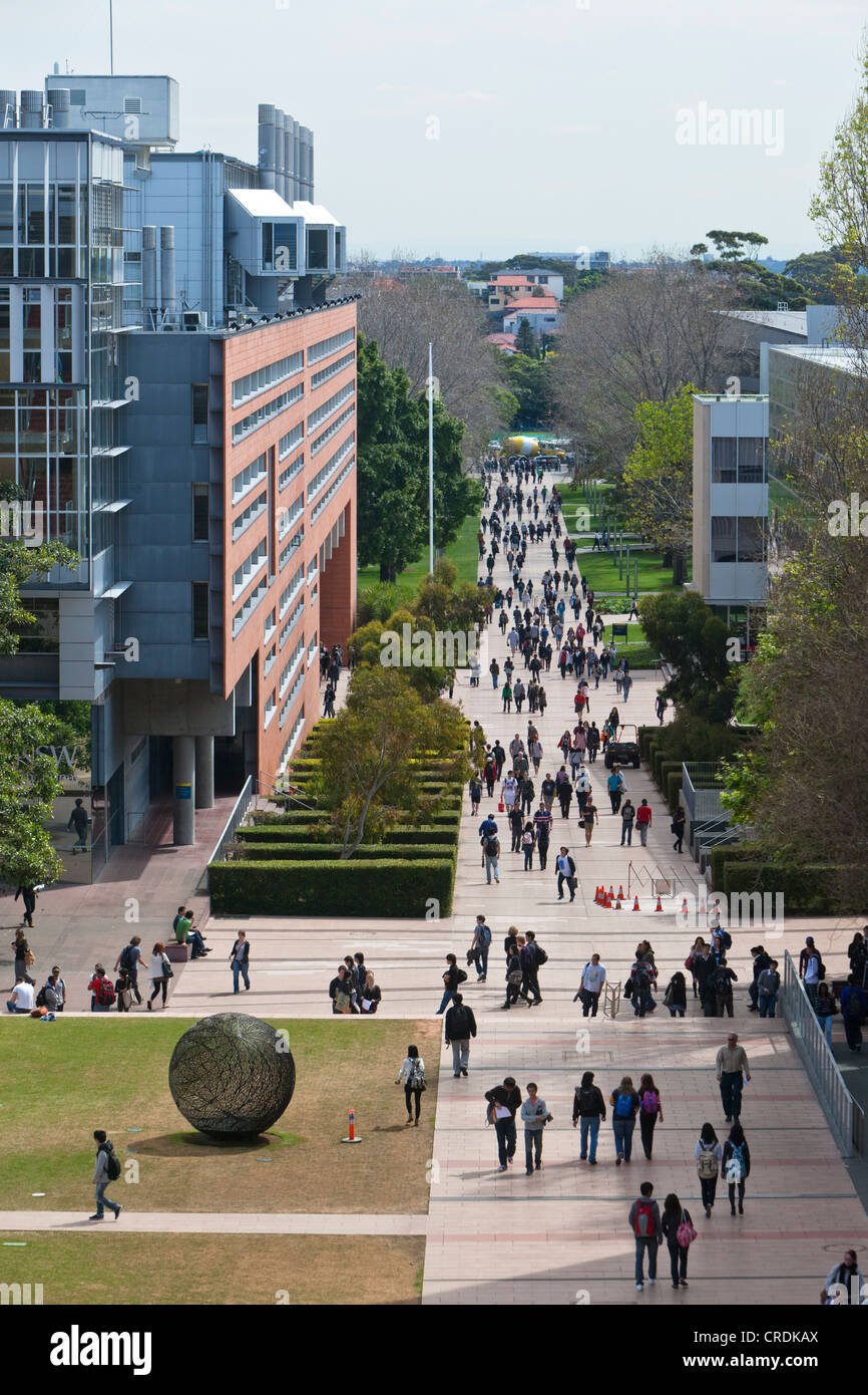 Les étudiants sur le campus de l'Université de New South Wales, UNSW, Sydney, New South Wales, Australia Banque D'Images