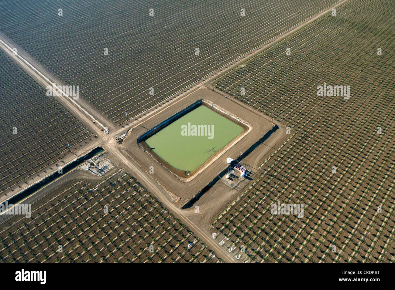Vue aérienne, paysage agricole dans la vallée centrale, d'irrigation, Fresno, Californie, États Unis, Amérique du Nord Banque D'Images