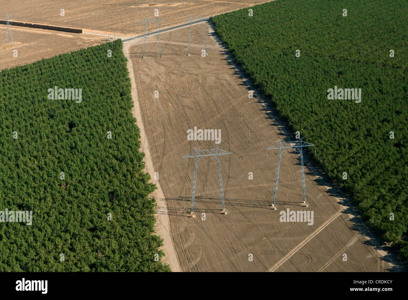 Vue aérienne de pylônes électriques dans le paysage agricole de la Vallée Centrale, Fresno, Californie, États Unis, Amérique du Nord Banque D'Images