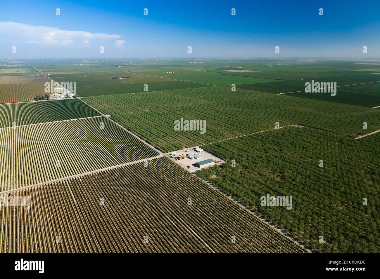 Vue aérienne des terres agricoles de la Vallée Centrale, Fresno, Californie, États Unis, Amérique du Nord Banque D'Images