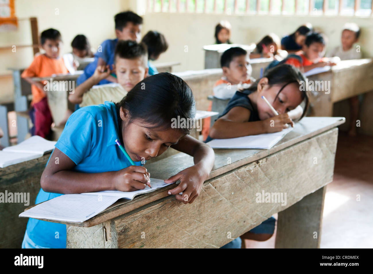 Les élèves l'apprentissage de l'écriture d'une école primaire dans un village sans accès routier dans la forêt tropicale, , Equateur Banque D'Images