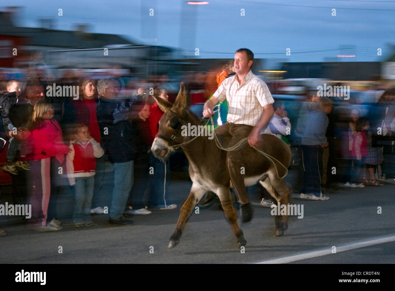 L'âne domestique (Equus asinus asinus. f), course d'ânes à Kilkee Harvest Festival, Irlande, Clarens, Kilkee Banque D'Images