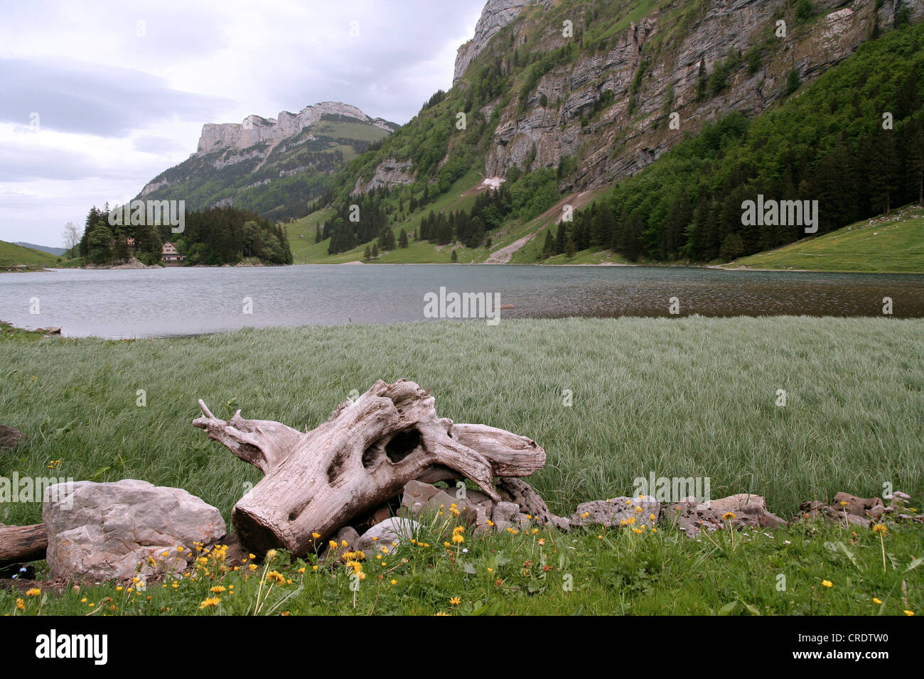 L'Appenzeller, Seealpsee, Suisse, Terre Wasserauen Banque D'Images