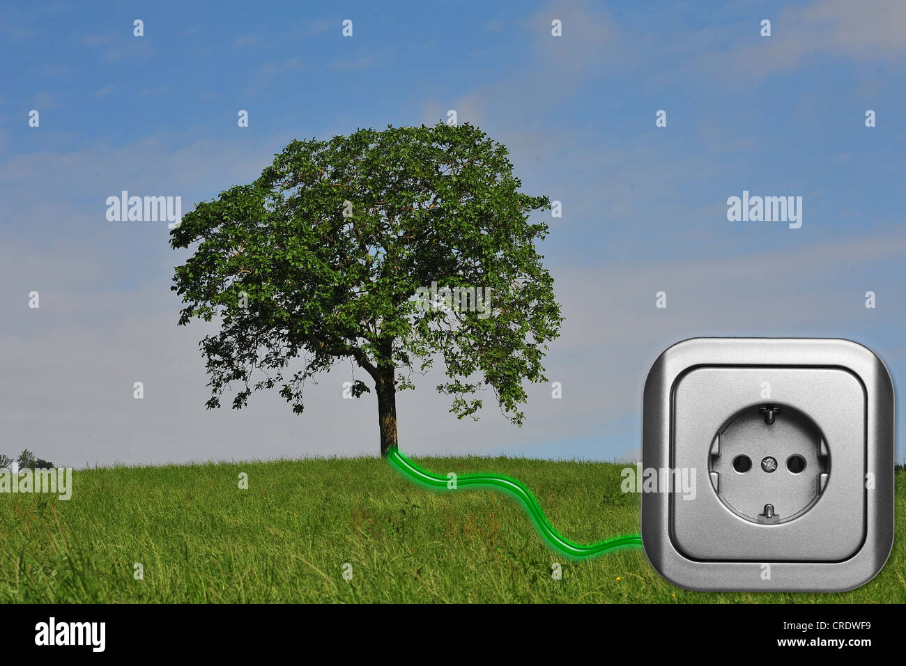 Prairie avec arbre et d'une prise de courant reliée par un fil vert Banque D'Images