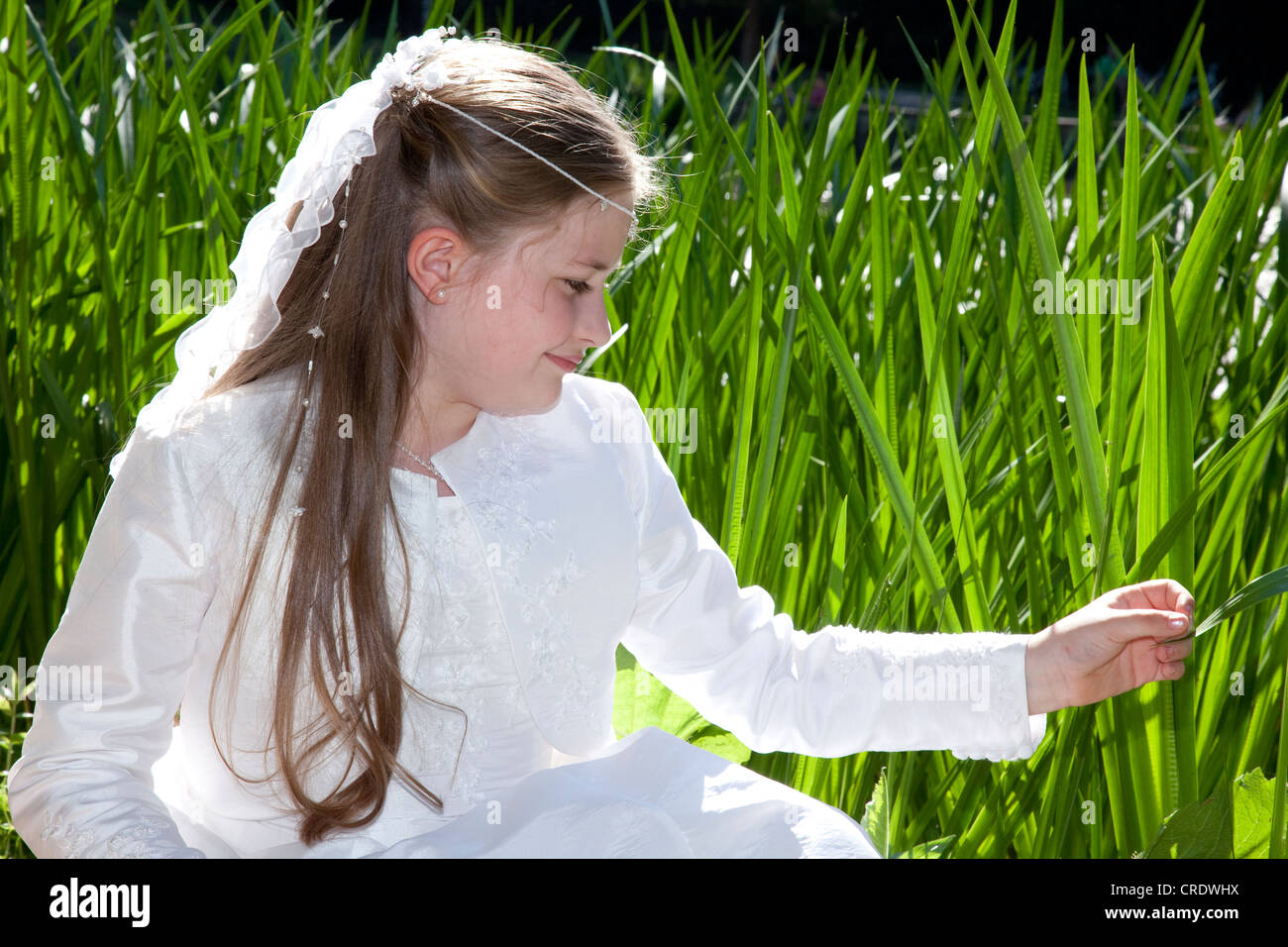 Communication, fille, 9 ans, jouant avec l'herbe reed Banque D'Images