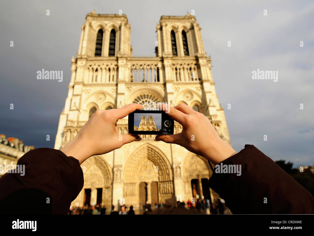 Image touristique de Notre Dame de Paris, façade occidentale, France, Paris Banque D'Images