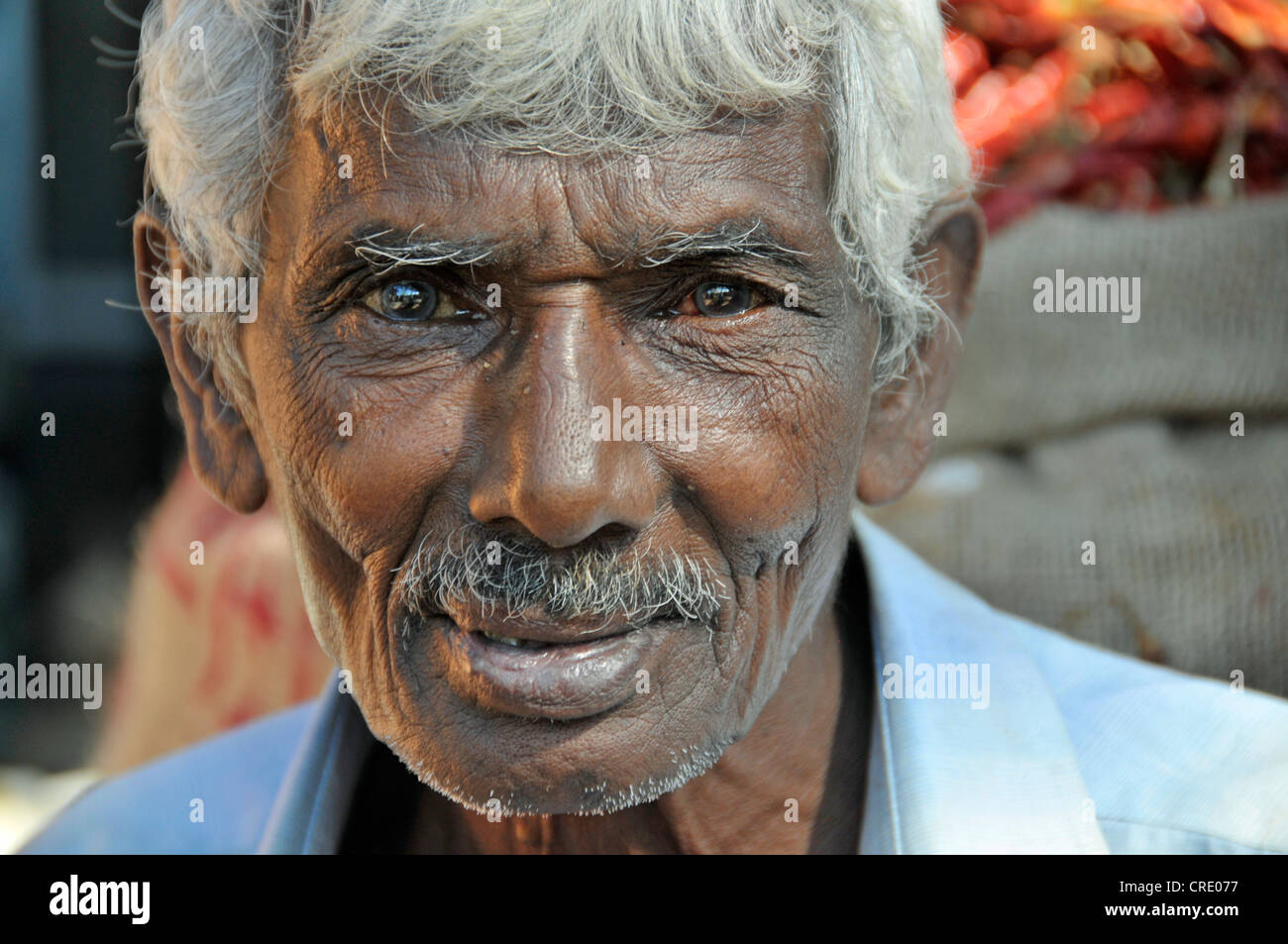 Un homme âgé, portrait, Sri Lanka, Ceylan, l'Asie du Sud, Asie Banque D'Images