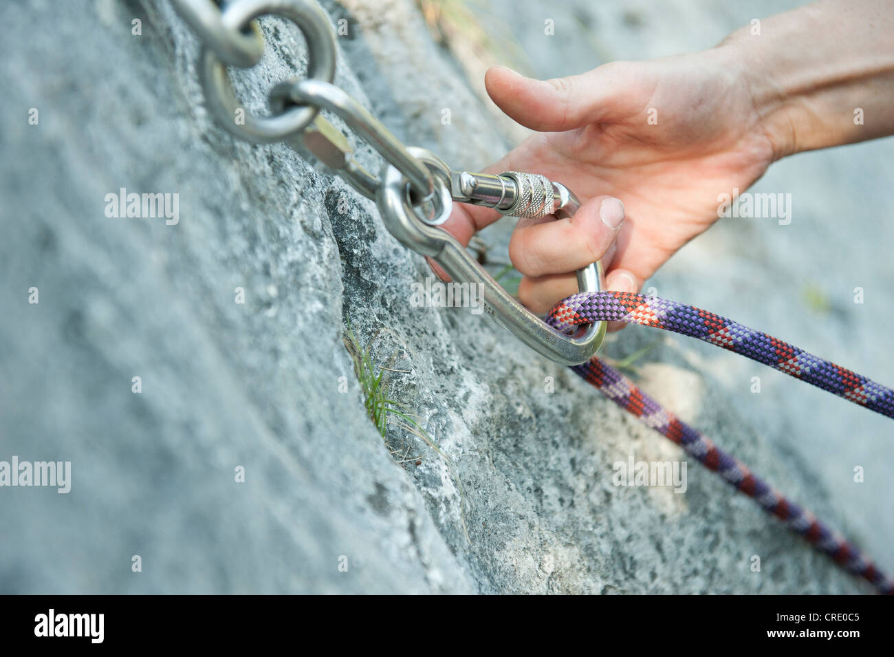 Main d'un grimpeur, alpiniste, accrocher une corde à un mousqueton, escalade, Arco, Italie, Europe Banque D'Images