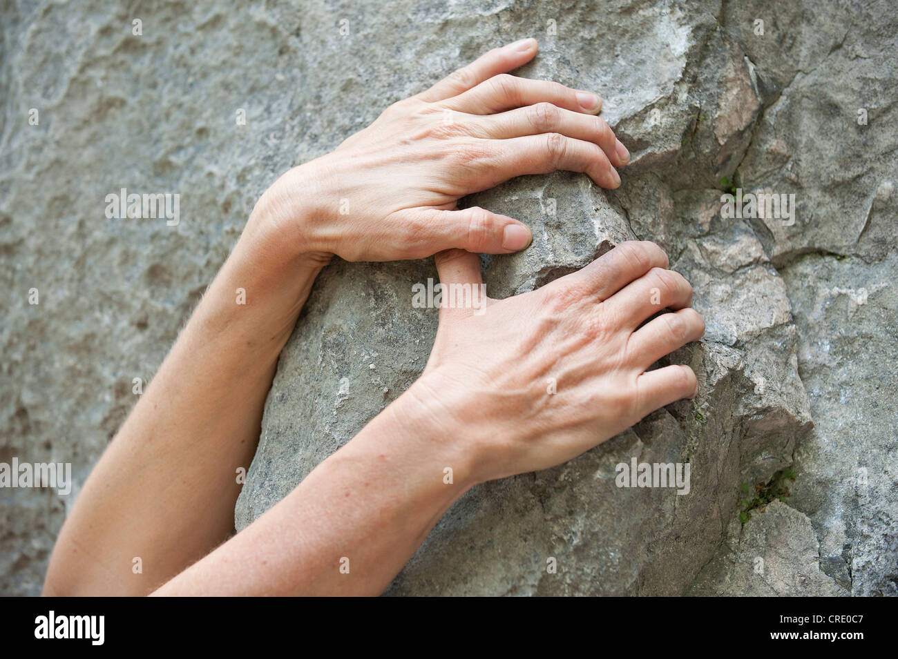 Mains d'un grimpeur, alpiniste, sur un rocher, l'escalade, Arco, Italie, Europe Banque D'Images