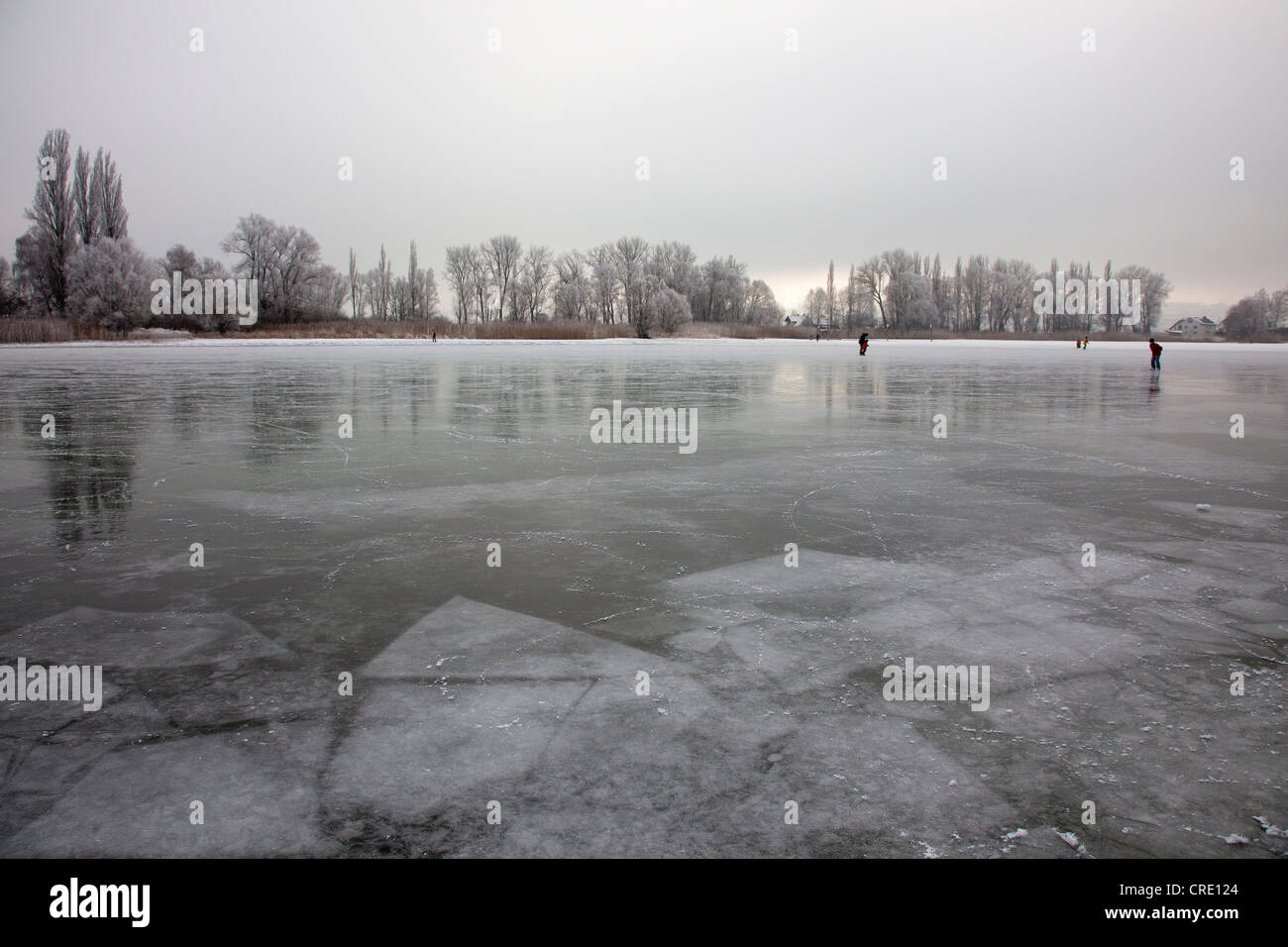 Lac gelé avec constance entre les gens de l'île de Reichenau et de Hegne, Lac de Constance, Bade-Wurtemberg, Allemagne, Europe Banque D'Images