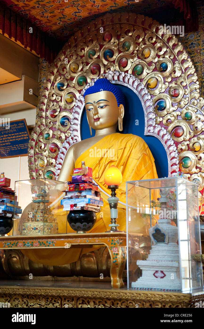 Le bouddhisme tibétain la figure, la figure de Bouddha sur l'autel du dalaï-lama, Monastère de Namgyal, Upper Dharamsala, McLeod Ganj Banque D'Images