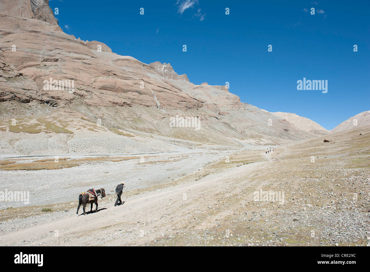 Avec un cheval tibétain, le bouddhisme tibétain, long pèlerinage route vers le Mont Kailash, Gang Rinpoche, Kora, Ngari Banque D'Images