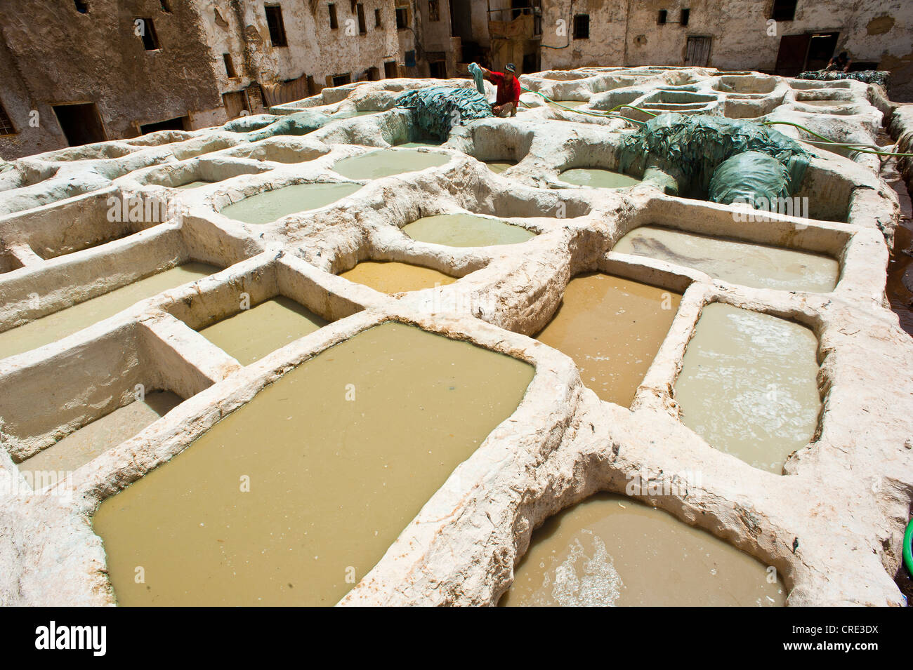 Les tanneries traditionnelles avec cuves de tannage, de la chaux, de la vieille ville ou médina de Fès ou Fez, Site du patrimoine mondial de l'UNESCO, le Maroc, l'Afrique Banque D'Images