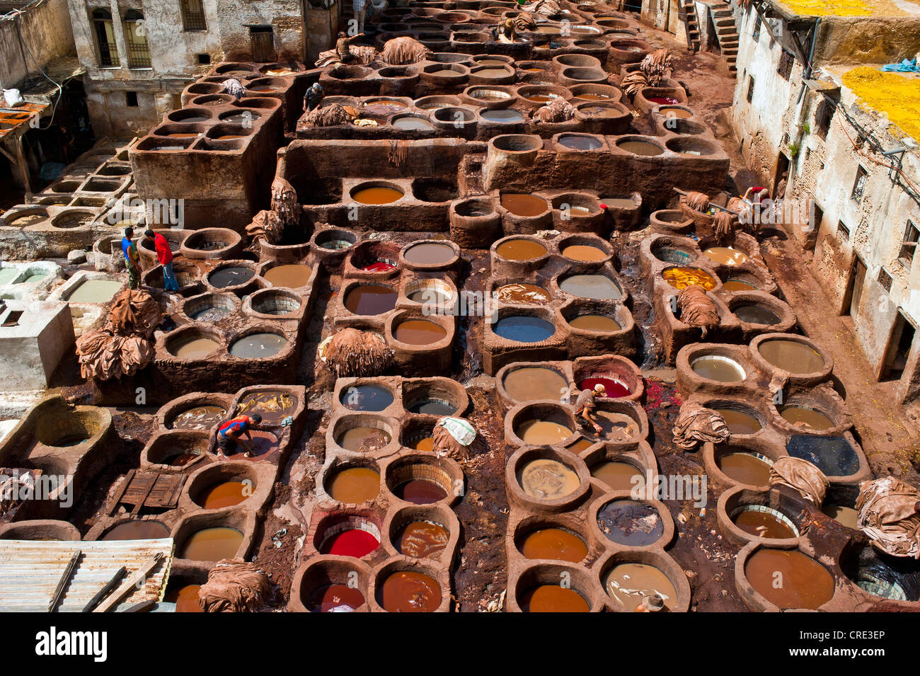Les tanneries traditionnelles avec cuves de mourir, la vieille ville ou médina de Fès ou Fez, Site du patrimoine mondial de l'UNESCO, le Maroc, l'Afrique Banque D'Images