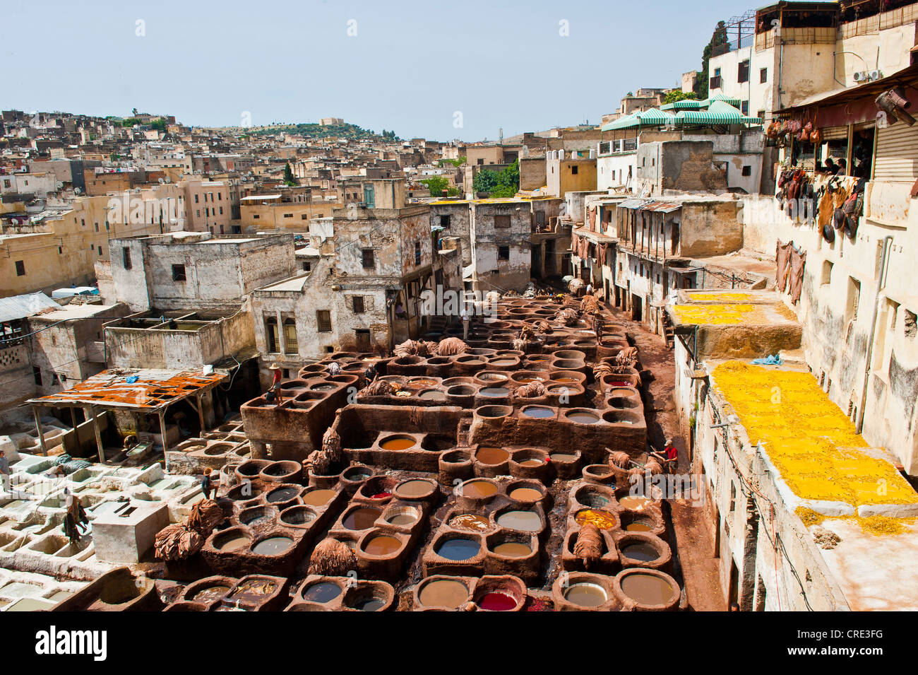 Les tanneries traditionnelles avec le bronzage et cuves de mourir, la vieille ville ou médina de Fès ou Fez, Site du patrimoine mondial de l'UNESCO, le Maroc, l'Afrique Banque D'Images