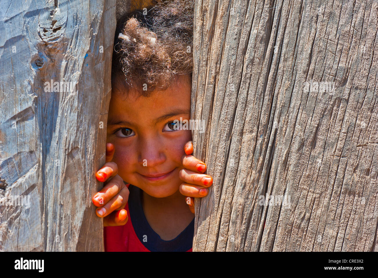 Jeune garçon à la recherche d'un écart en curieusement un mur en bois, Moyen Atlas, Maroc, Afrique Banque D'Images