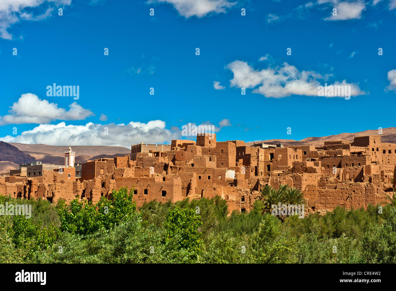Vestiges d'un ancien village de maisons en terre séchée, Ksar village berbère, Tinerhir, Maroc, Afrique Banque D'Images