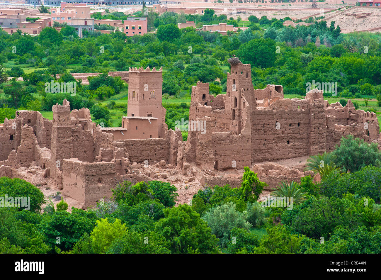 Ruines d'une Kasbah en décomposition, boue, forteresse berbère résidentiel château, Tighremt, Kelaa M'Gouna, Rose Valley, le sud du Maroc Banque D'Images