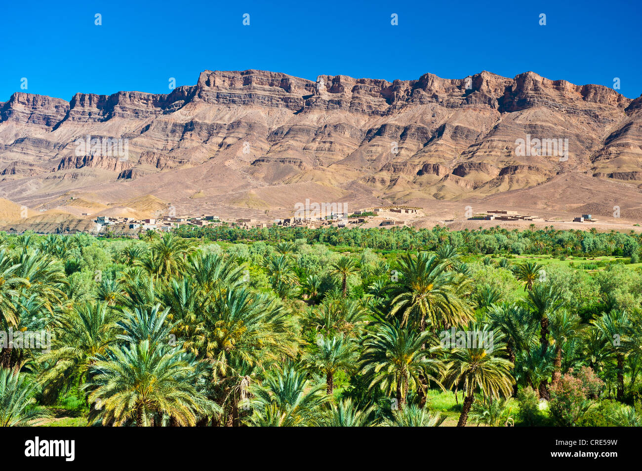 Draa-Valley avec Palm Grove et petits villages et le djebel Kissane Agdz, Draa-Valley, la montagne, le sud du Maroc, Maroc Banque D'Images