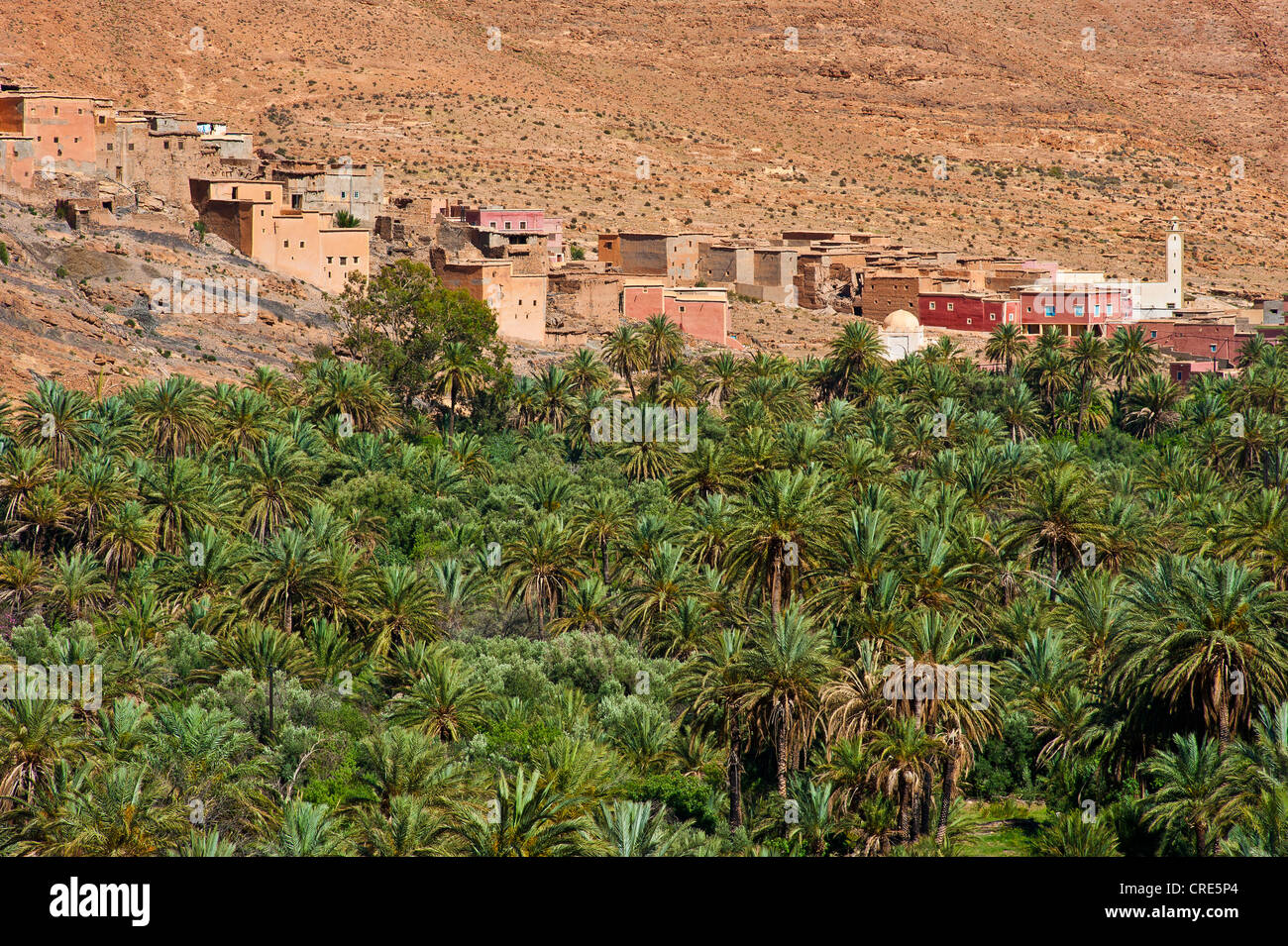 Petit village berbère avec une mosquée et d'une palmeraie, l'Ait Mansour Valley, Anti-Atlas, le sud du Maroc, Maroc, Afrique Banque D'Images
