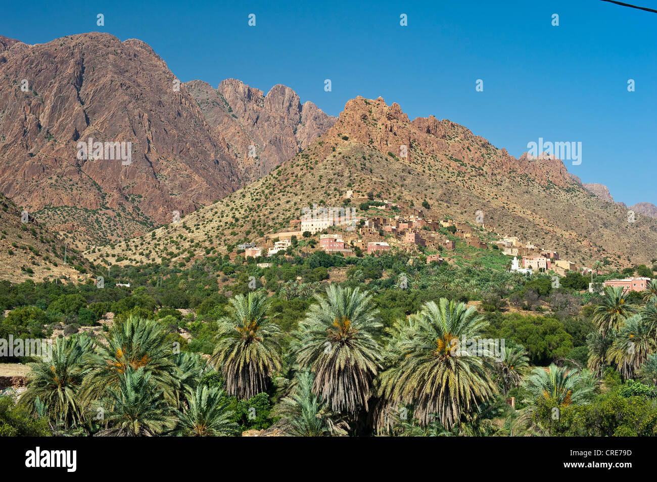 Paysage typique de montagne dans l'Anti-Atlas, village sur une colline avec des maisons berbères traditionnels Banque D'Images