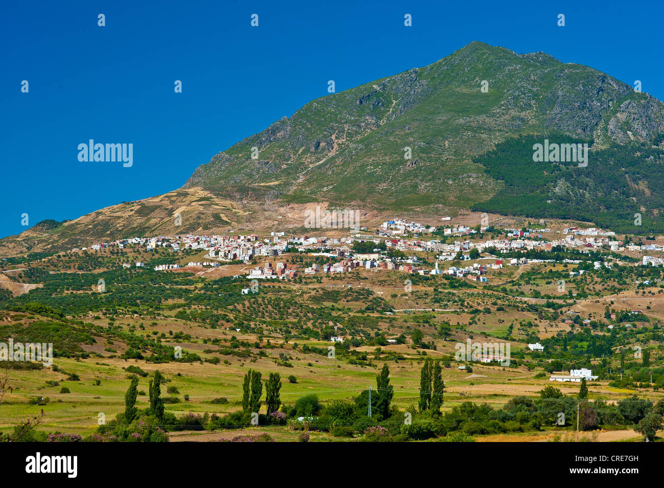 Paysage typique de montagne, ville de Chefchaouen et son environnement de petits champs, montagnes du Rif, nord du Maroc, Maroc Banque D'Images