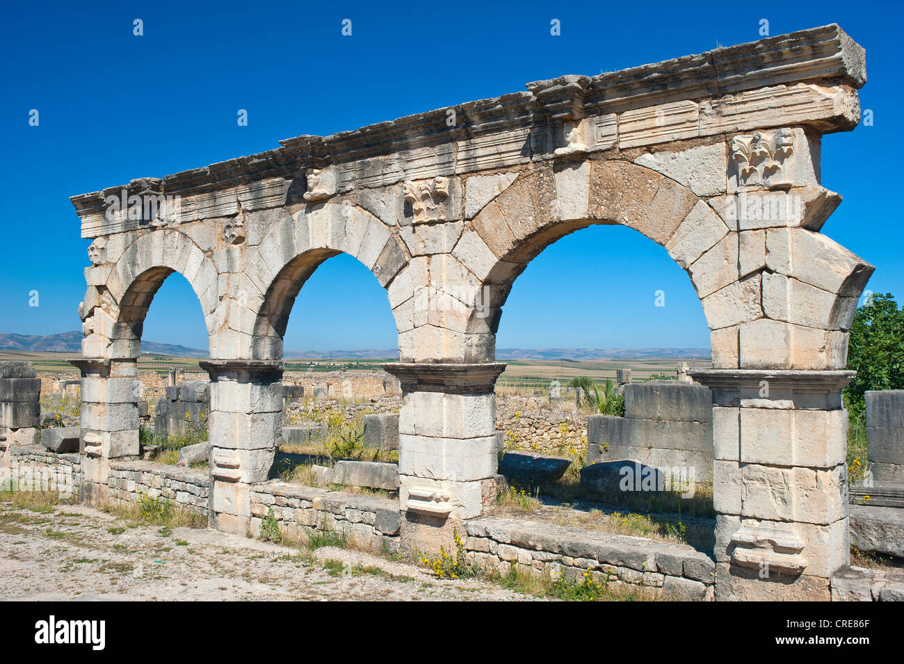 Ruines romaines de Volubilis, ancienne ville, site du patrimoine mondial de l'UNESCO, le Maroc, l'Afrique du Nord, Afrique Banque D'Images