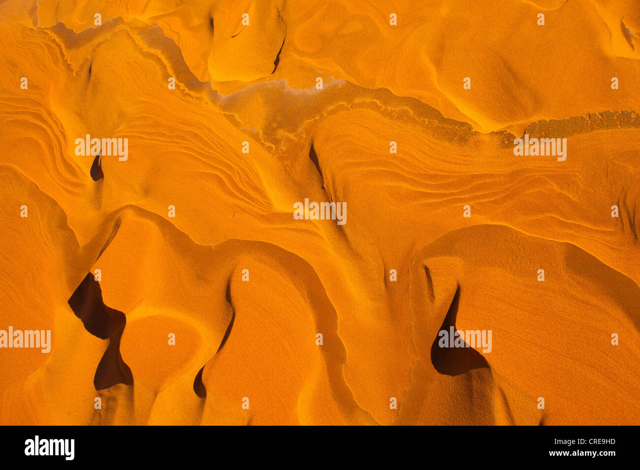 Les pistes dans le sable après de fortes pluies, façonné par le vent, l'Erg Chebbi dunes de sable, désert du Sahara, le Maroc, l'Afrique Banque D'Images