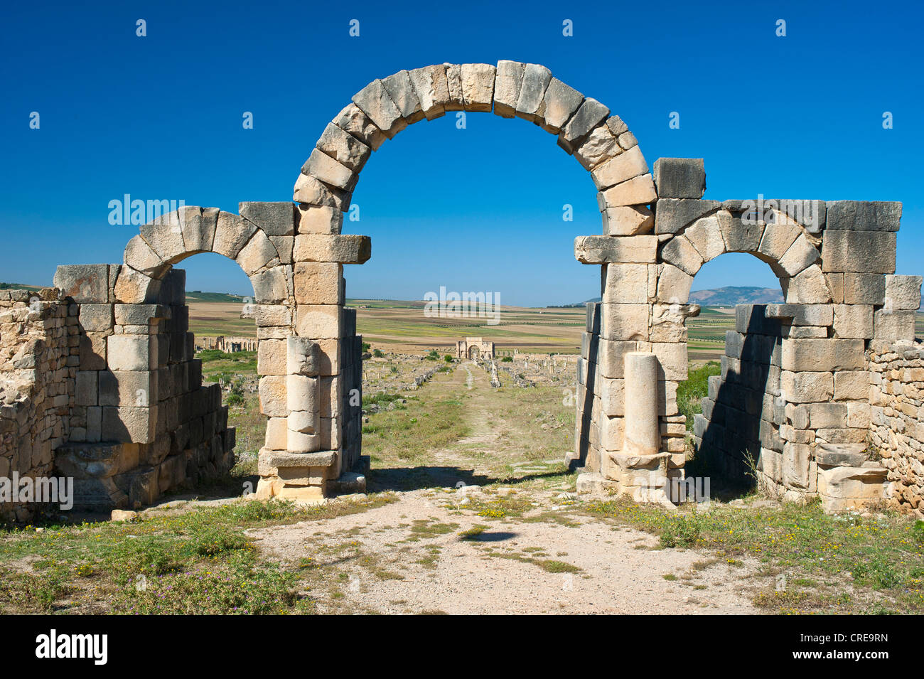 Archway, Tanger Gate, ruines romaines, ancienne ville résidentielle de Volubilis, Maroc, Afrique du Nord Banque D'Images