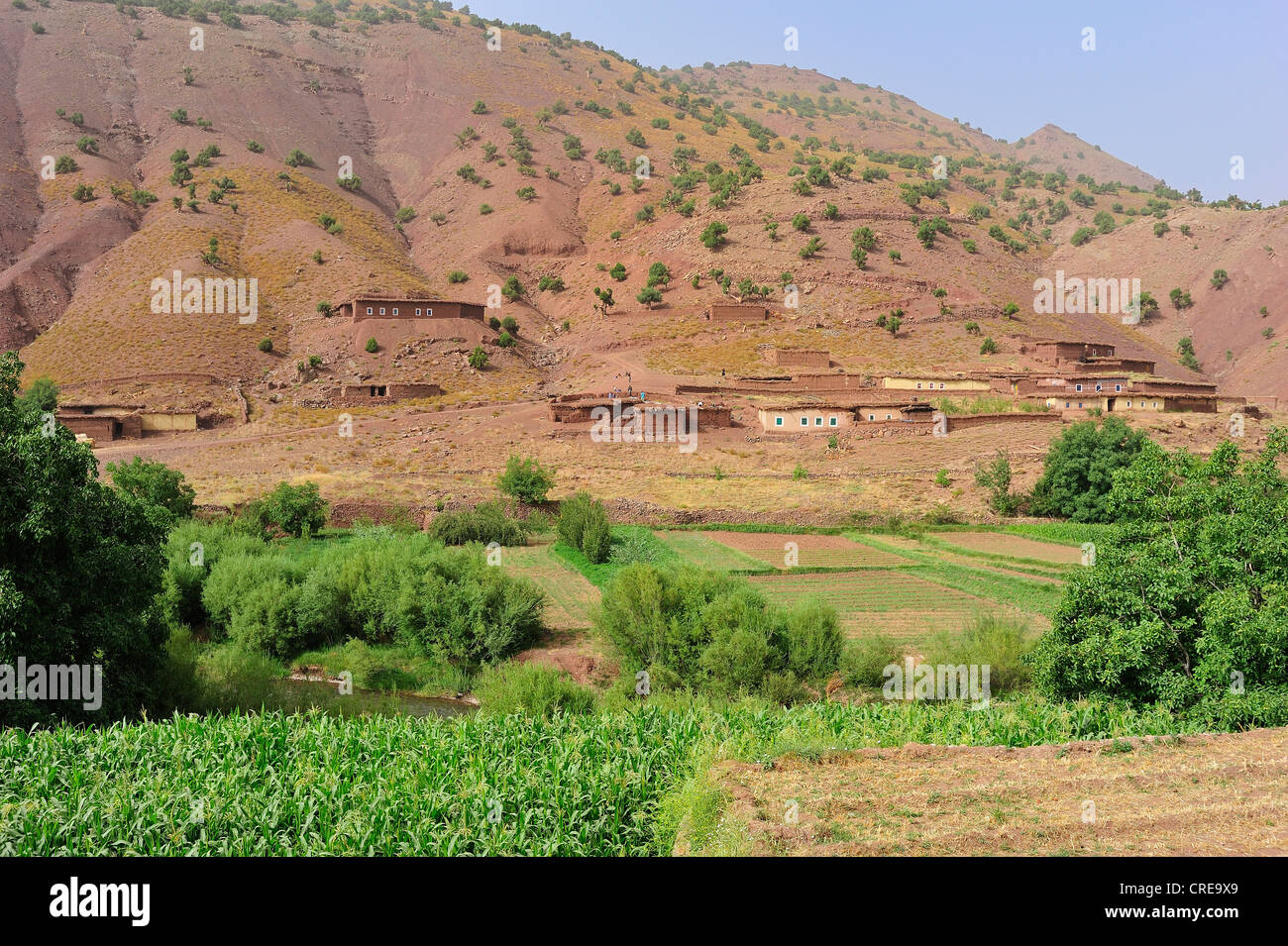 Paysage de montagne de la vallée de la rivière, avec des champs et d'un petit village berbère dans le Haut Atlas, les maisons sont faites à partir d'adobe Banque D'Images