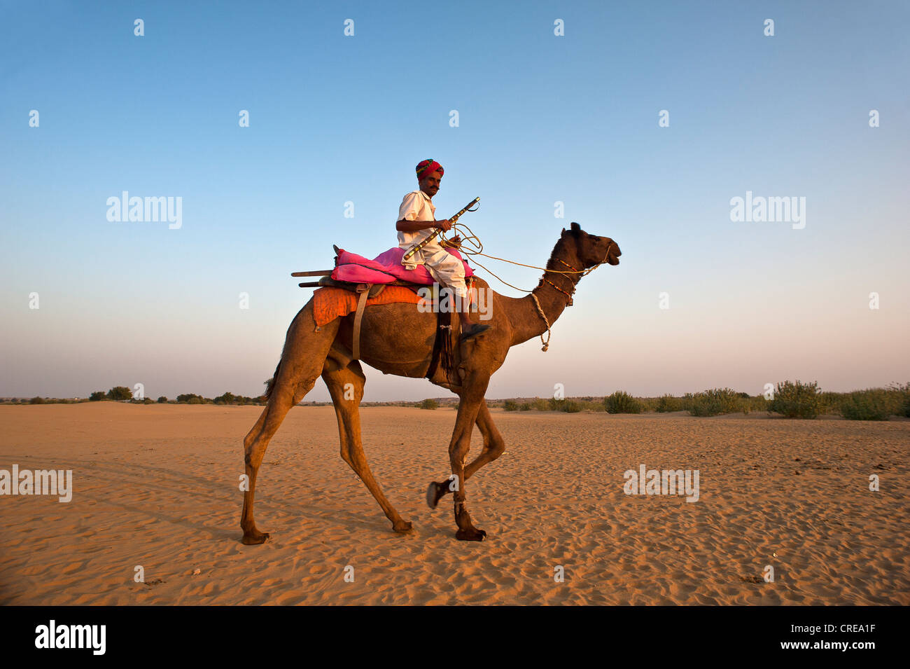 L'homme indien, vêtu d'un dhoti traditionnel et un turban équitation son chameau dans le désert, désert de Thar, Rajasthan, Inde, Asie Banque D'Images