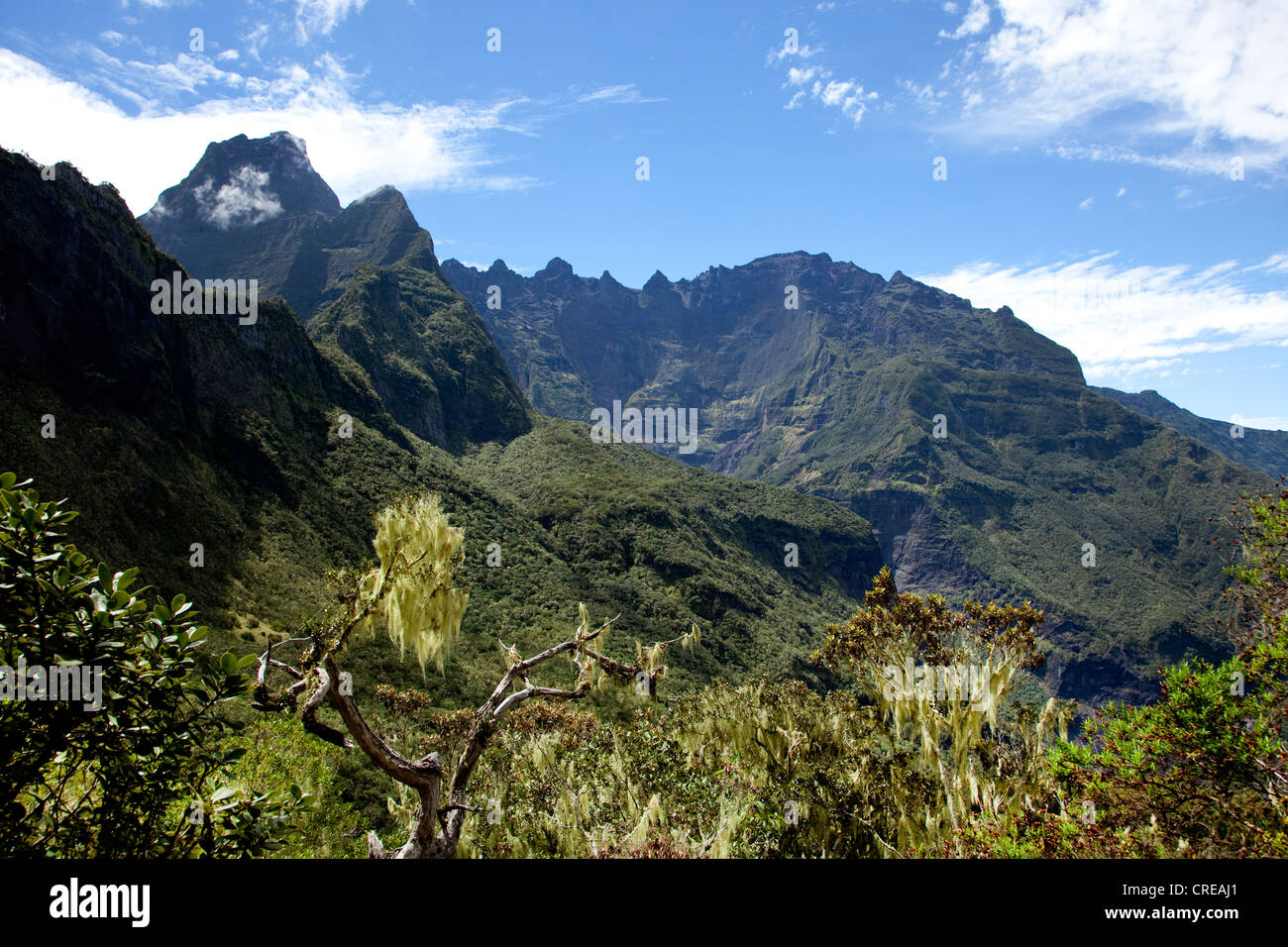 Paysage de montagne, la Réunion, océan Indien Banque D'Images