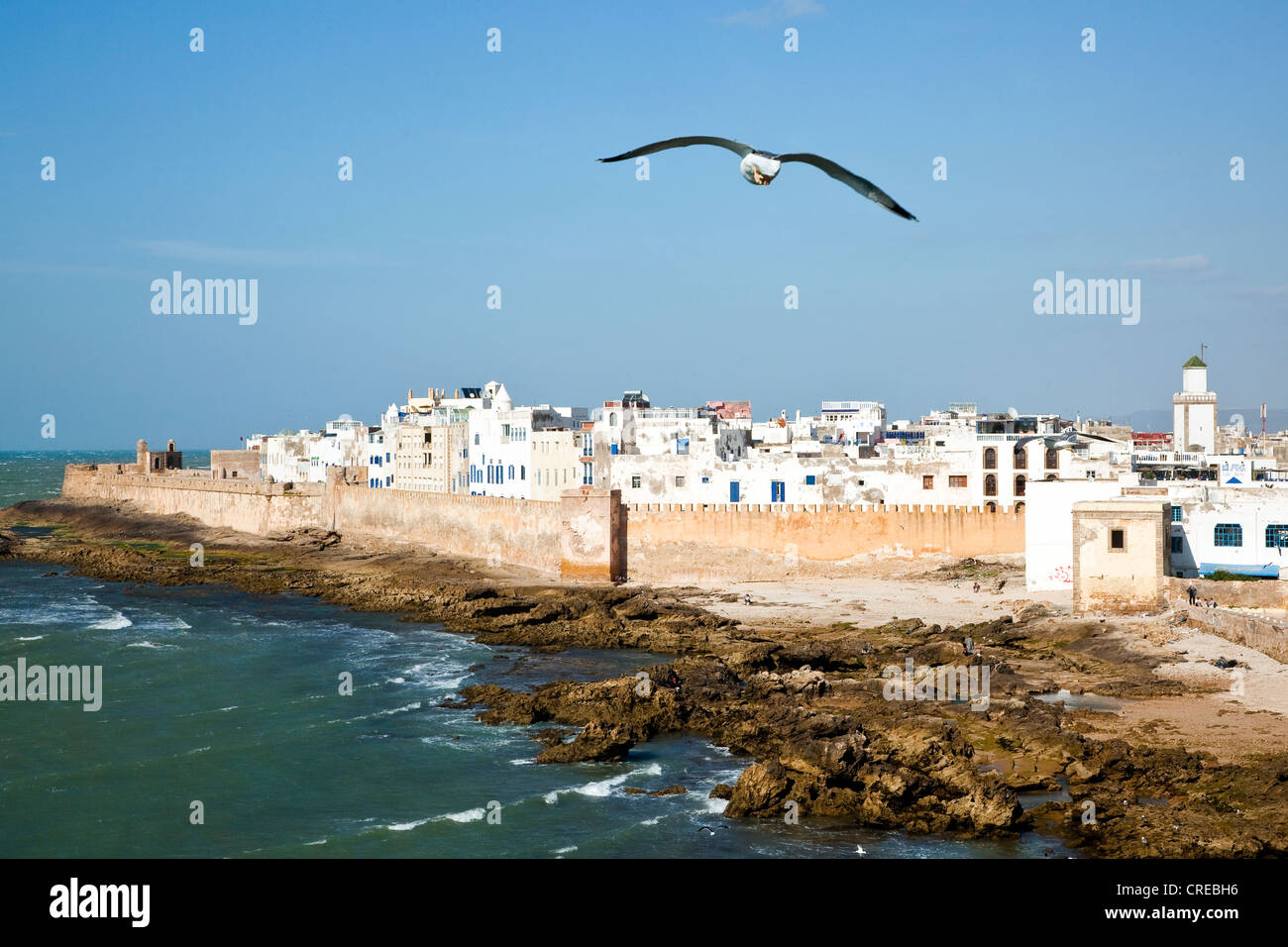 Les murs de la ville ou les remparts, Essaouira, Maroc, Afrique Banque D'Images