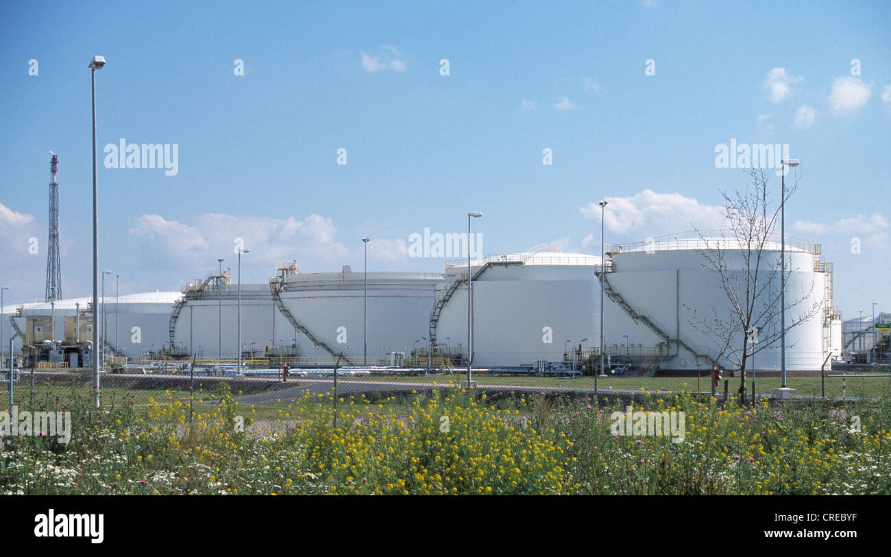 Les réservoirs de stockage de produits pétroliers dans la raffinerie Leuna, Allemagne Banque D'Images