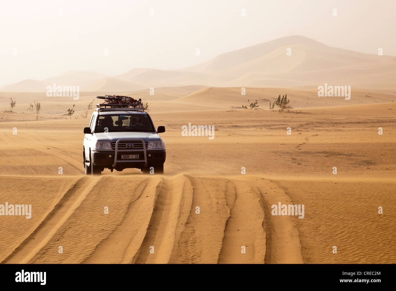 Un véhicule tout-terrain, Toyota Land Cruiser, au dunes de l'Erg Chegaga, désert du Sahara, près de Mhamid, Maroc, Afrique Banque D'Images
