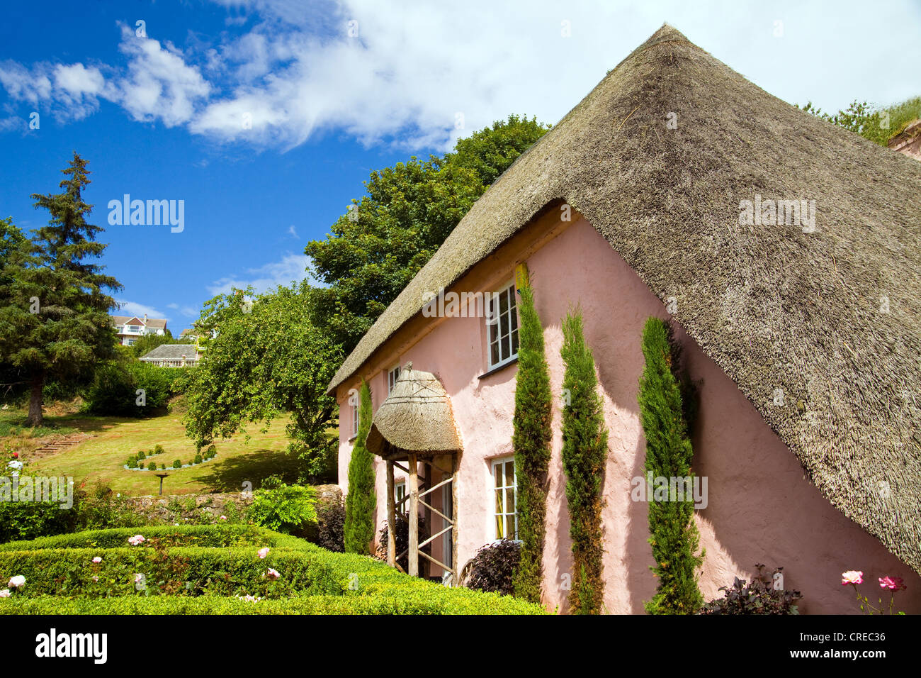 Rose Cottage est l'un des plus pittoresque de maisons dans le charmant village de Cockington, dans le Devon (Angleterre) Banque D'Images