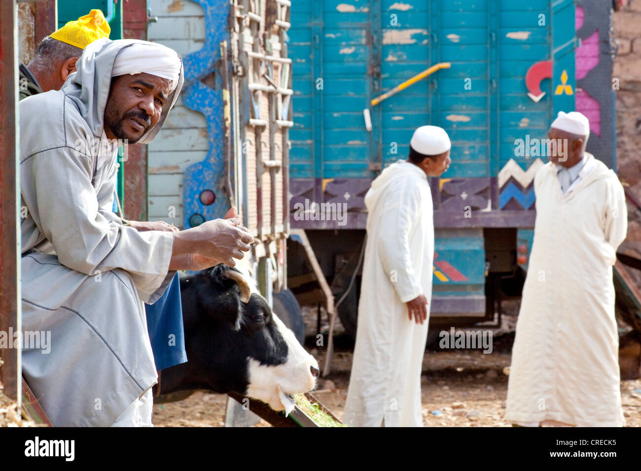 Les hommes portant des Djellabas, des robes traditionnelles, sur le marché des animaux en Tinezouline, vallée du Drâa, Maroc, Afrique Banque D'Images