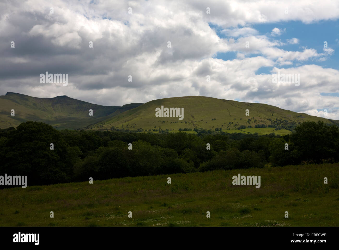 Pen Y Fan, du maïs et cribbin dans les Brecon Beacons au Pays de Galles Banque D'Images