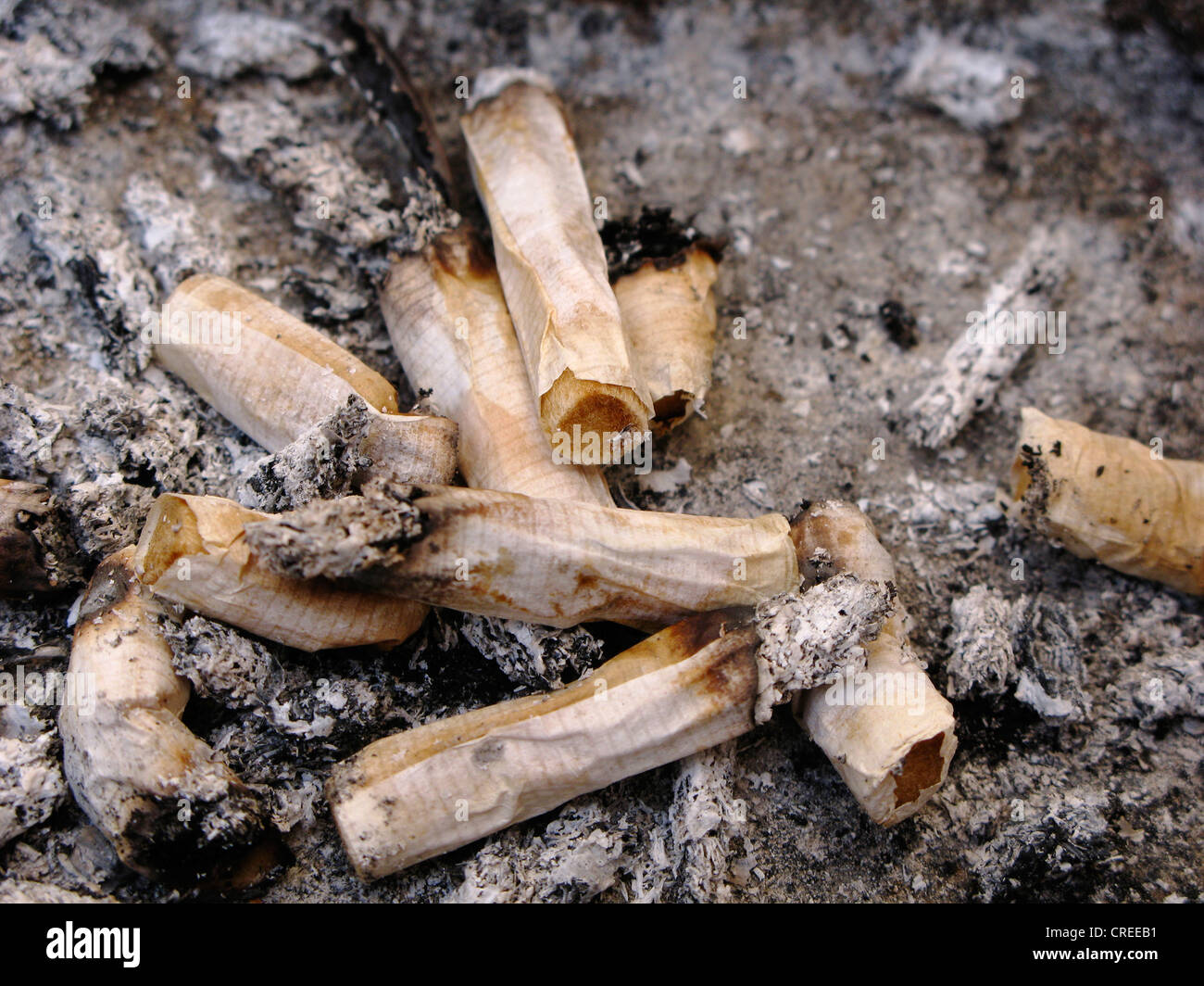 Mégots de cigarettes contenant cendrier Banque D'Images