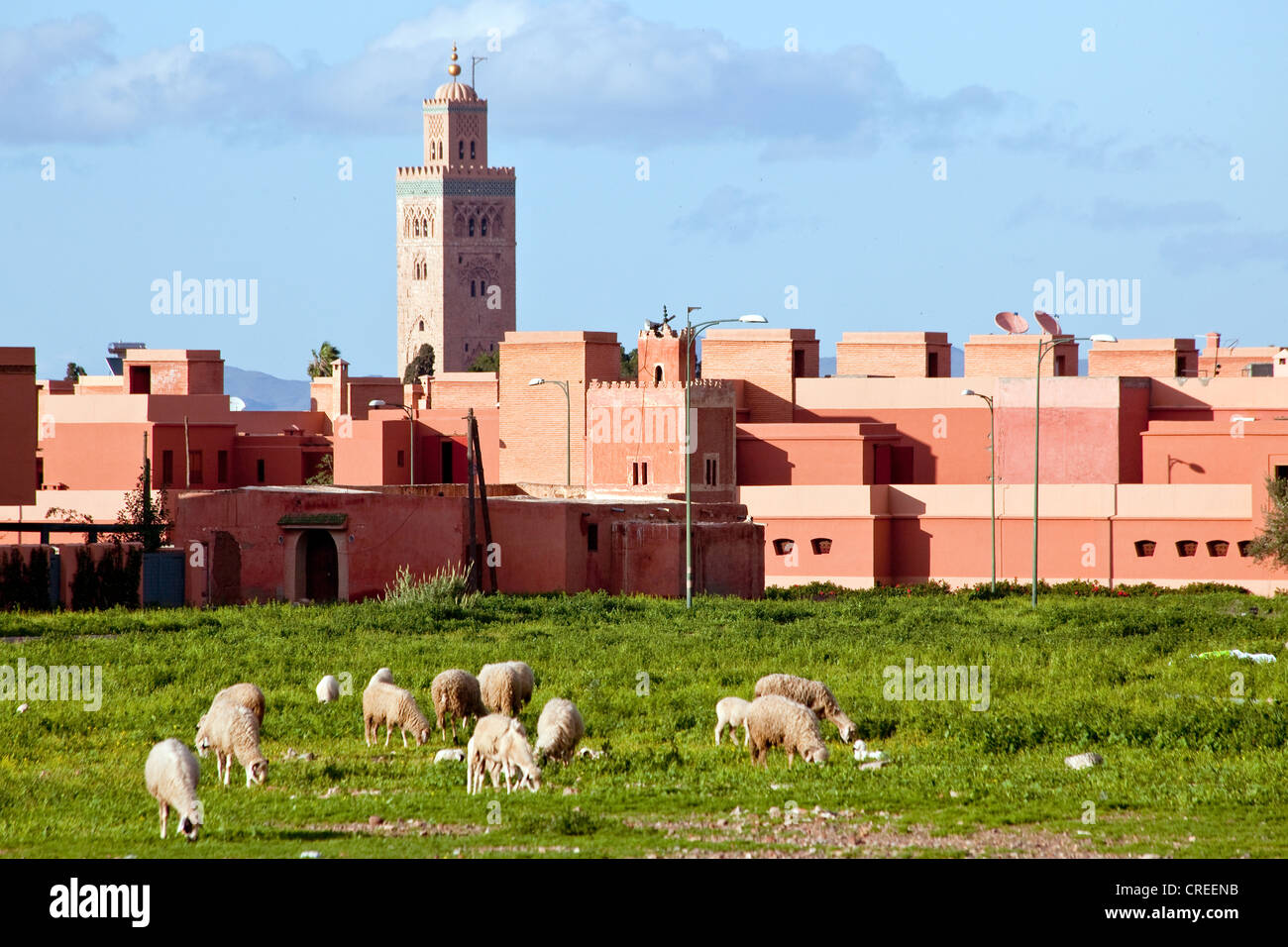 Maisons modernes dans le nouveau trimestre de Marrakech, Maroc, Afrique Banque D'Images