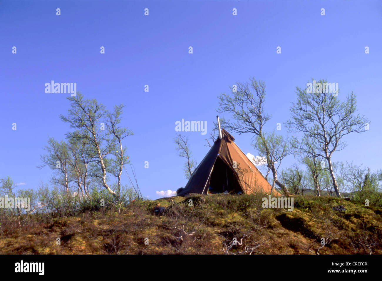 Camping à la montagne sauvage Banque D'Images Camping à la montagne sauvage Banque D'Images