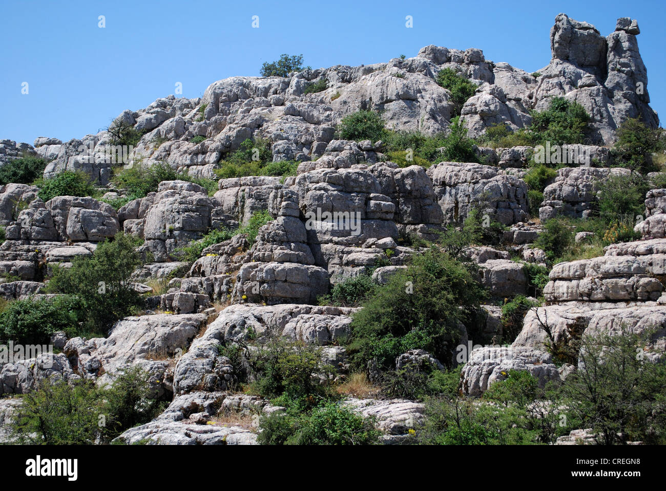 Paysage karstique, le parc national El Torcal, Torcal de Antequera, la province de Malaga, Andalousie, Espagne, Europe de l'Ouest. Banque D'Images