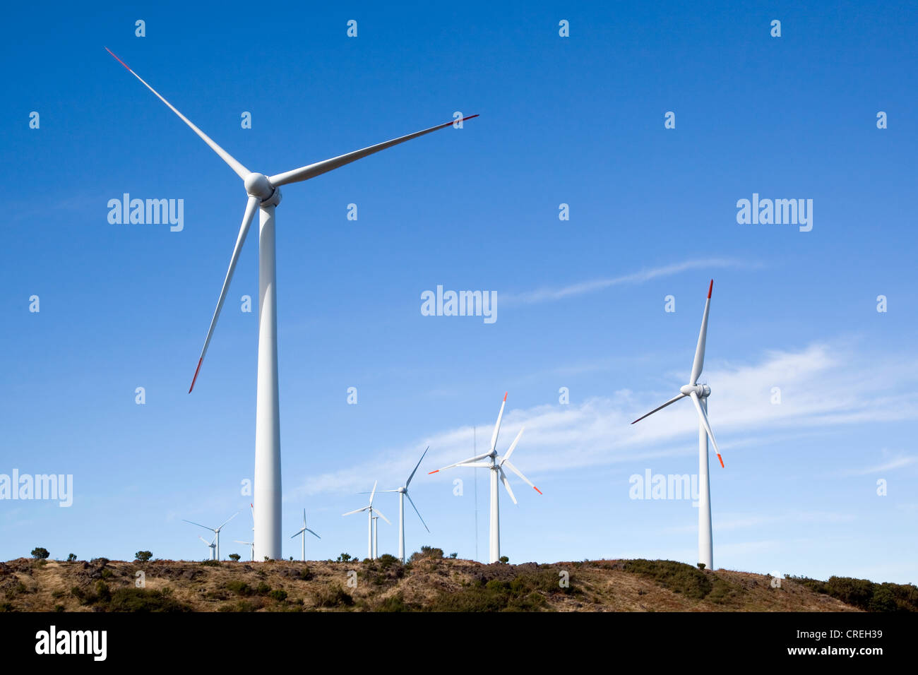 Éoliennes sur le plateau de Paul da Serra, Madeira, Portugal, Europe Banque D'Images