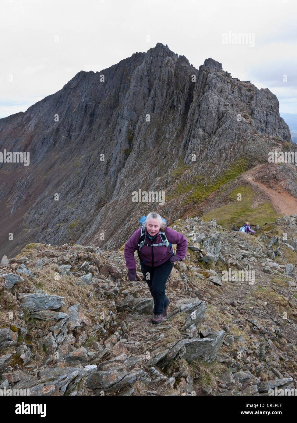 Une femelle hill walker sur lit d'Ddysgl avec, y lit-bébé Goch dans l'arrière-plan - sur l'itinéraire classique Snowdon Horseshoe Banque D'Images