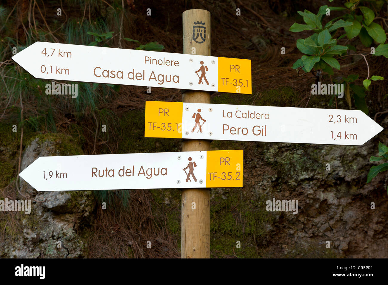 La signalisation, sentier près de Aguamansa, Tenerife, partie nord, Îles Canaries, Espagne, Europe Banque D'Images