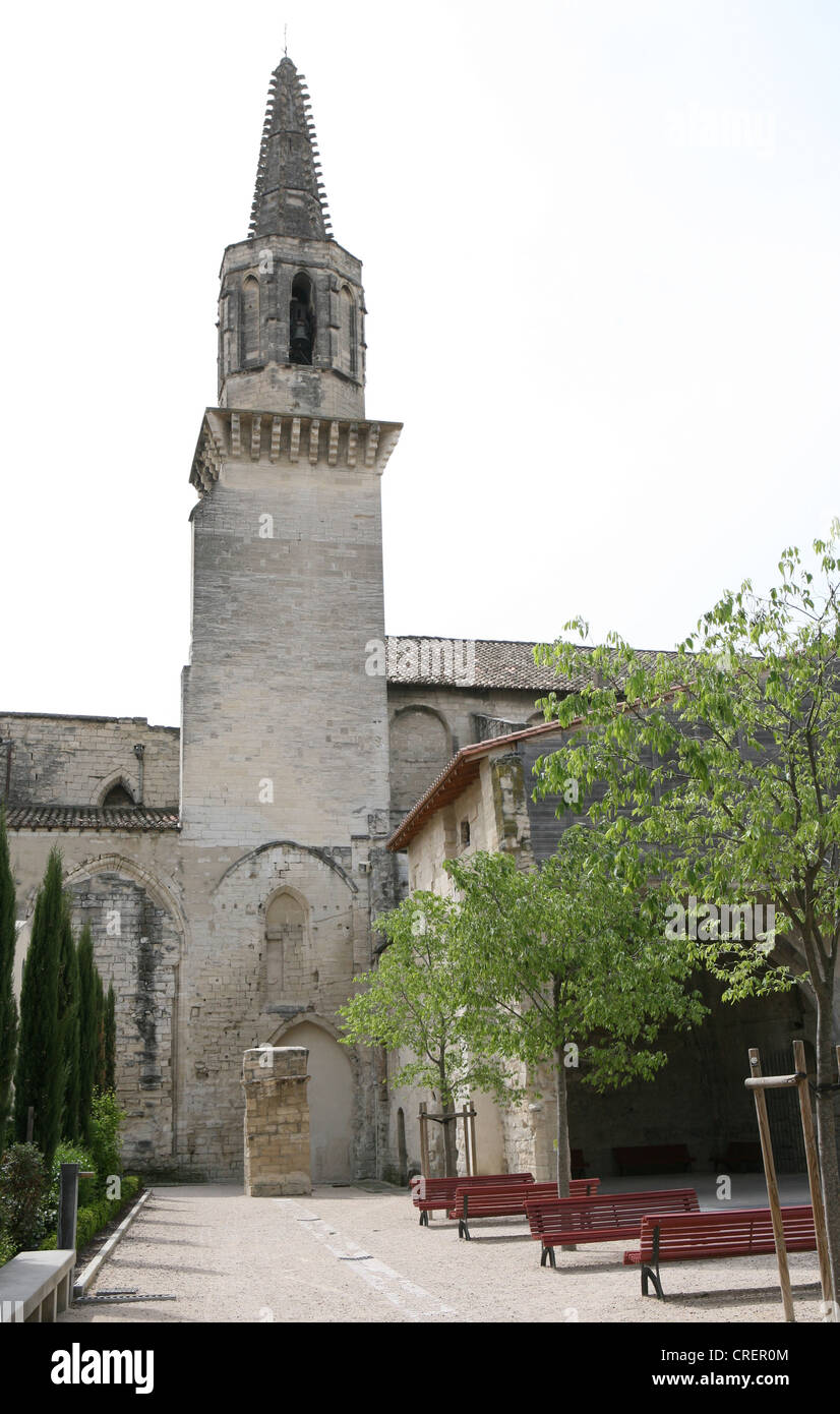 Cloître et le jardin des Carmes, Avignon Vacluse Provence France Europe Banque D'Images