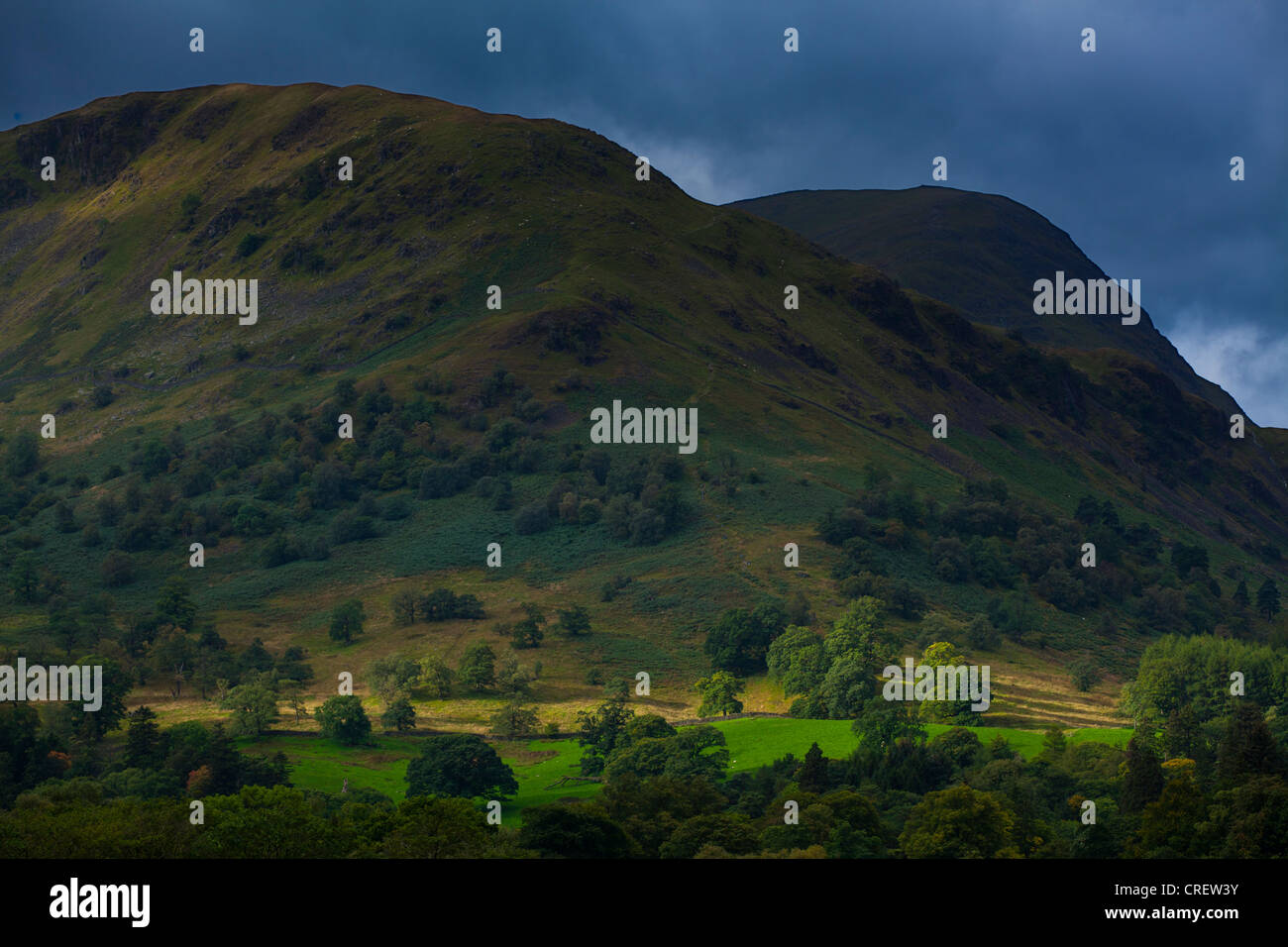 L'Angleterre, Cumbria, Parc National de Lake District. Un doux rayon de lumière morceaux un ciel rempli de tempête pour mettre en évidence les arbres Banque D'Images